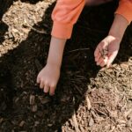 A child planting seeds in soil, representing organic gardening and agriculture.