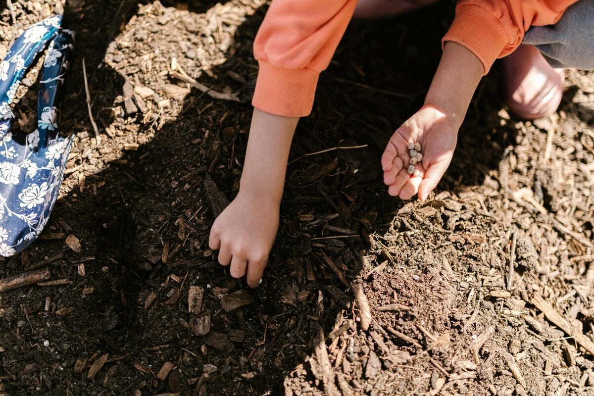 A child planting seeds in soil, representing organic gardening and agriculture.